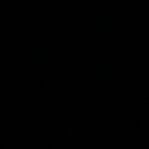 Meet your Posher, Troy